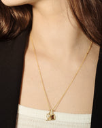 Load image into Gallery viewer, Capricorn Garnet Zodiac Energy Necklace