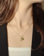 Load image into Gallery viewer, Leo Fluorite Zodiac Energy Necklace