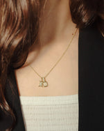 Load image into Gallery viewer, Gemini Moonstone Zodiac Energy Necklace
